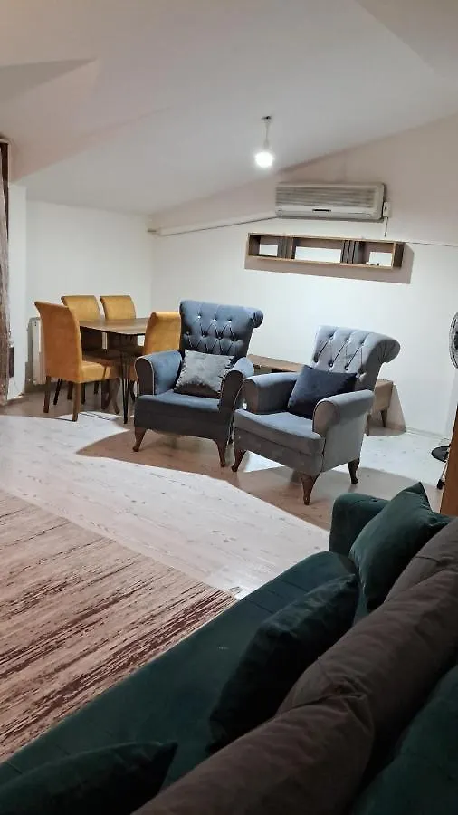 4,E Aksemsettin Mh Sari Abdullah Efendi Sk 11 N 1,2,3 Apartment Istanbul